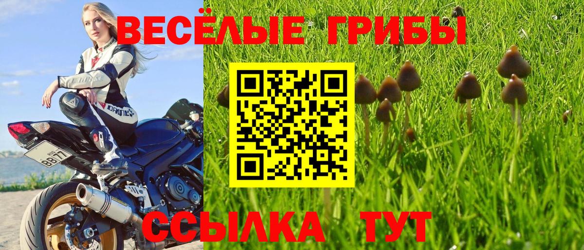 Галлюциногенные грибы ЛСД  Вход с VPN  Галлюциногенные грибы Magic Shrooms  Кулебаки 
